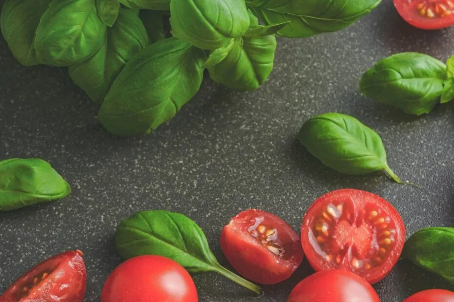 دليل الغذاء الصديق للبيئة